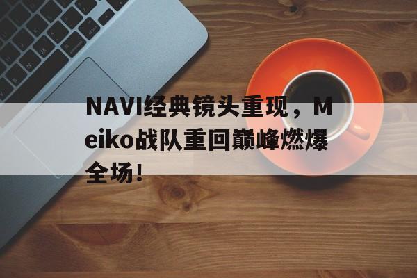 NAVI经典镜头重现，Meiko战队重回巅峰燃爆全场！