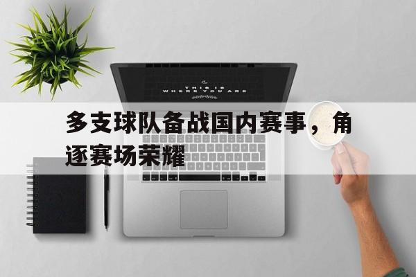 多支球队备战国内赛事，角逐赛场荣耀